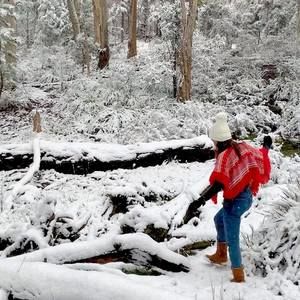 Meet your Posher, Sesy